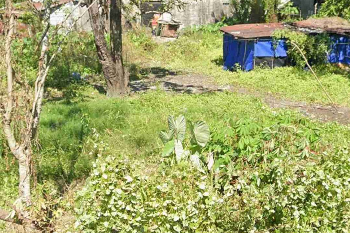 Land for Sale in San Fernando Sur, Cabiao, Nueva Ecija – photo 4