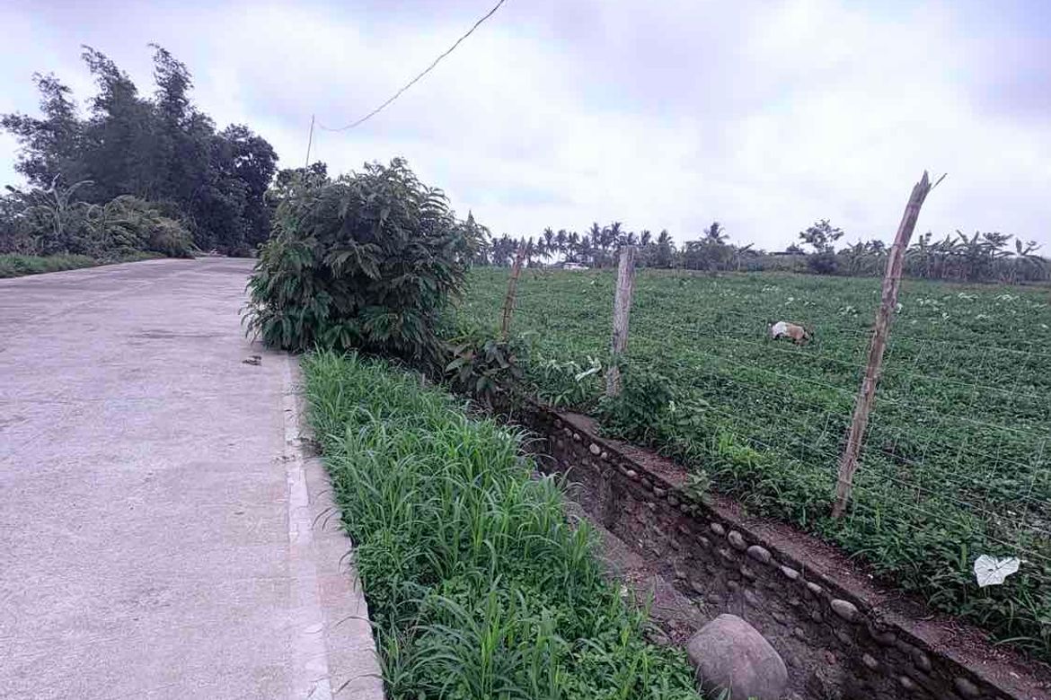 Land for Sale in San Fernando, Talisay, Negros Occidental – photo 2