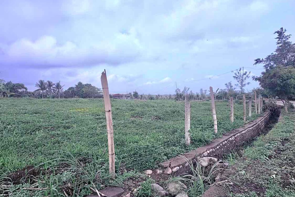 Land for Sale in San Fernando, Talisay, Negros Occidental – photo 4