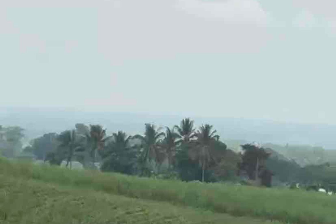 Land for Sale in San Fernando, Talisay, Negros Occidental – photo 6