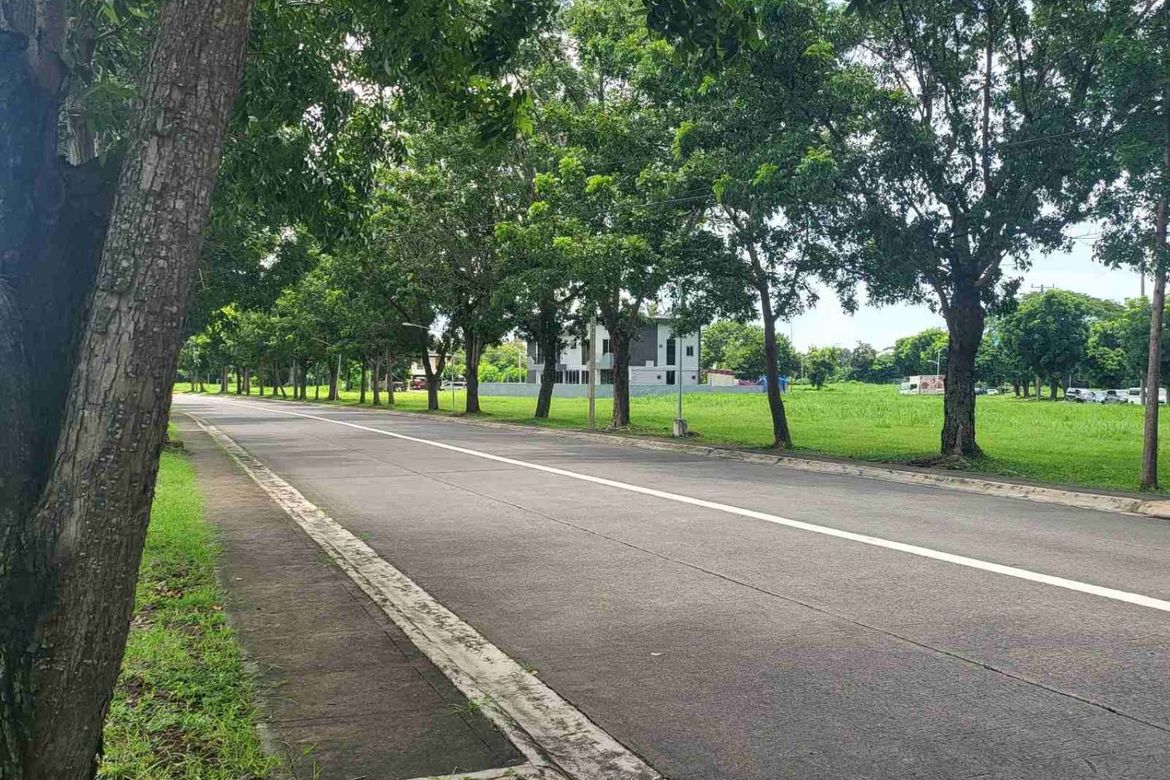 Land for Sale in San Francisco, Biñan, Laguna – photo 3