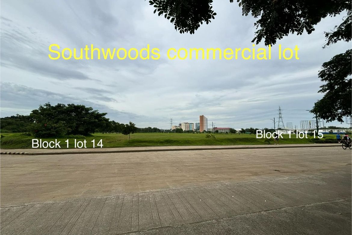 Land for Sale in San Francisco, Biñan, Laguna – photo 3