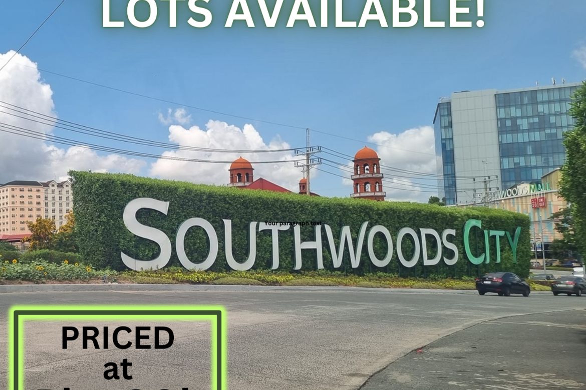 Land for Sale in San Francisco, Biñan, Laguna – photo 6