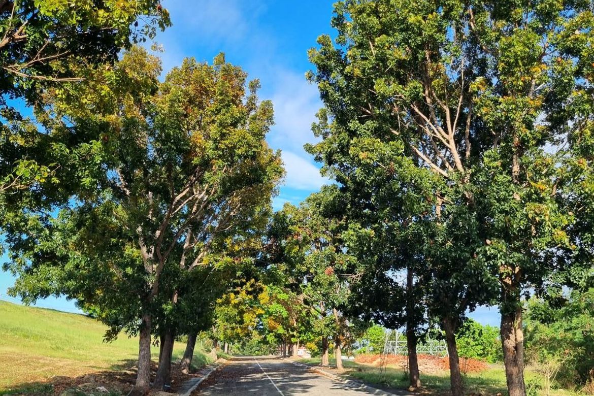 Land for Sale in San Francisco, Biñan, Laguna – photo 2