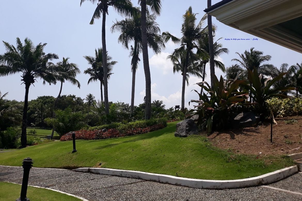 Land for Sale in San Francisco, Biñan, Laguna – photo 6