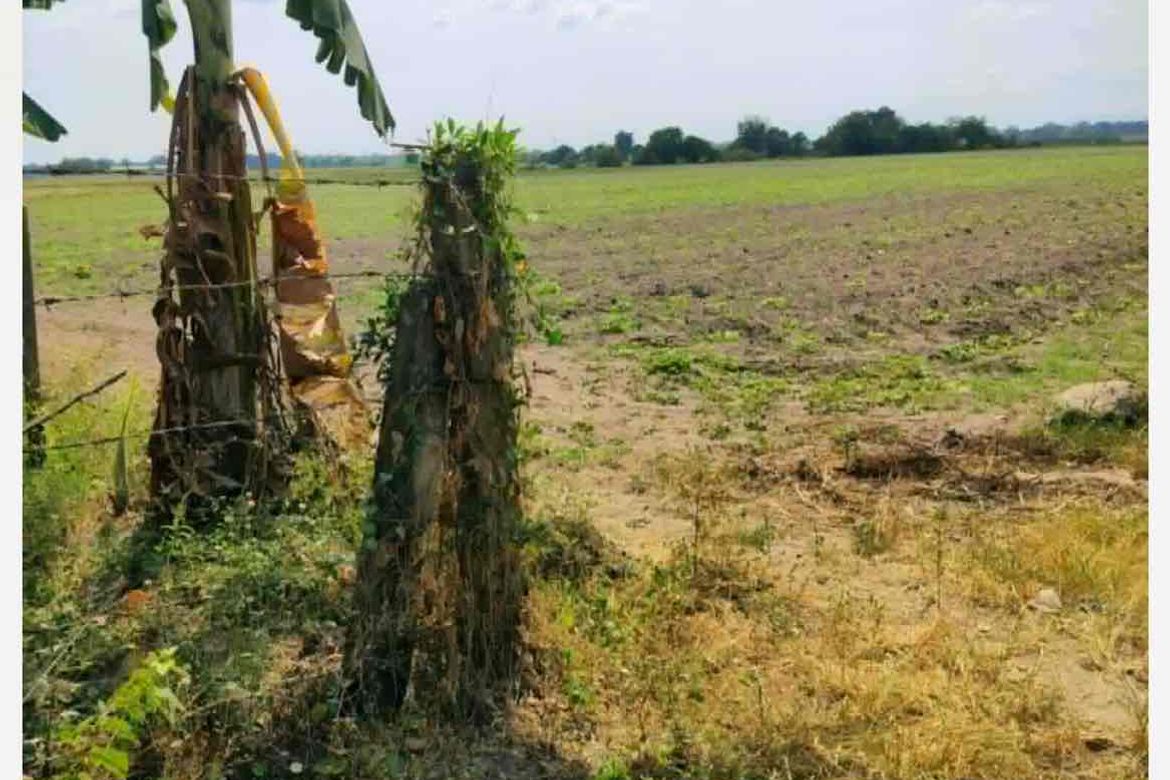 Land for Sale in San Francisco, Lubao, Pampanga