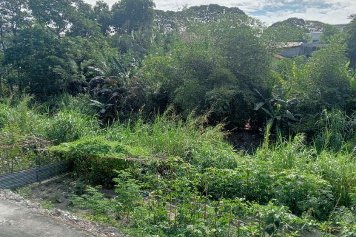 Land for Sale in San Francisco, Mabalacat, Pampanga – photo 4
