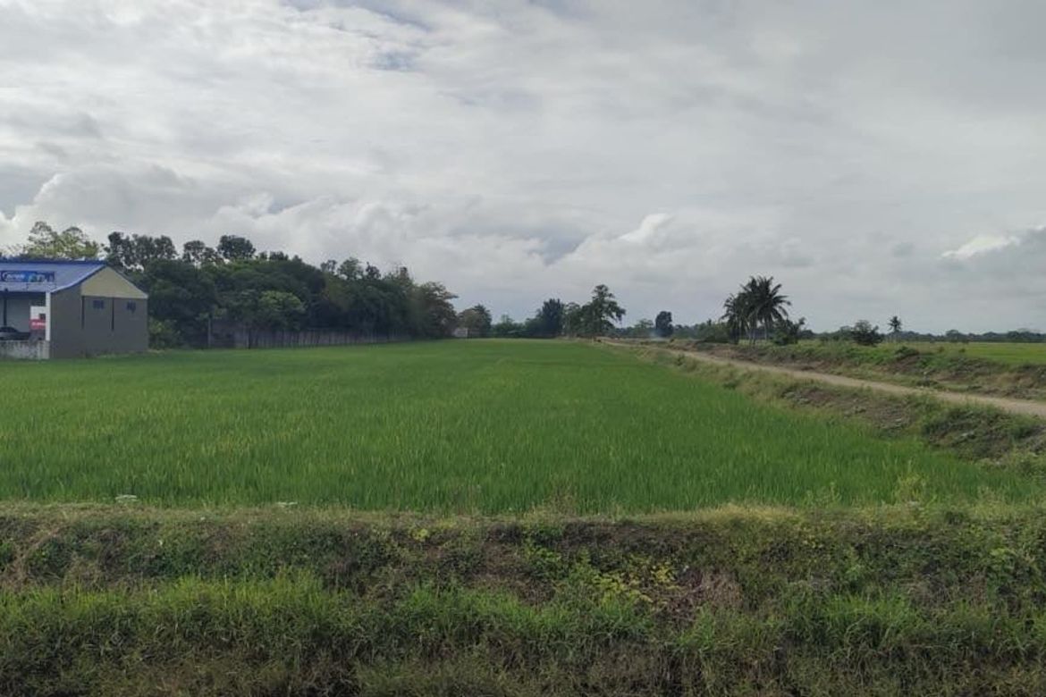 Land for Sale in San Francisco, San Manuel, Isabela – photo 4