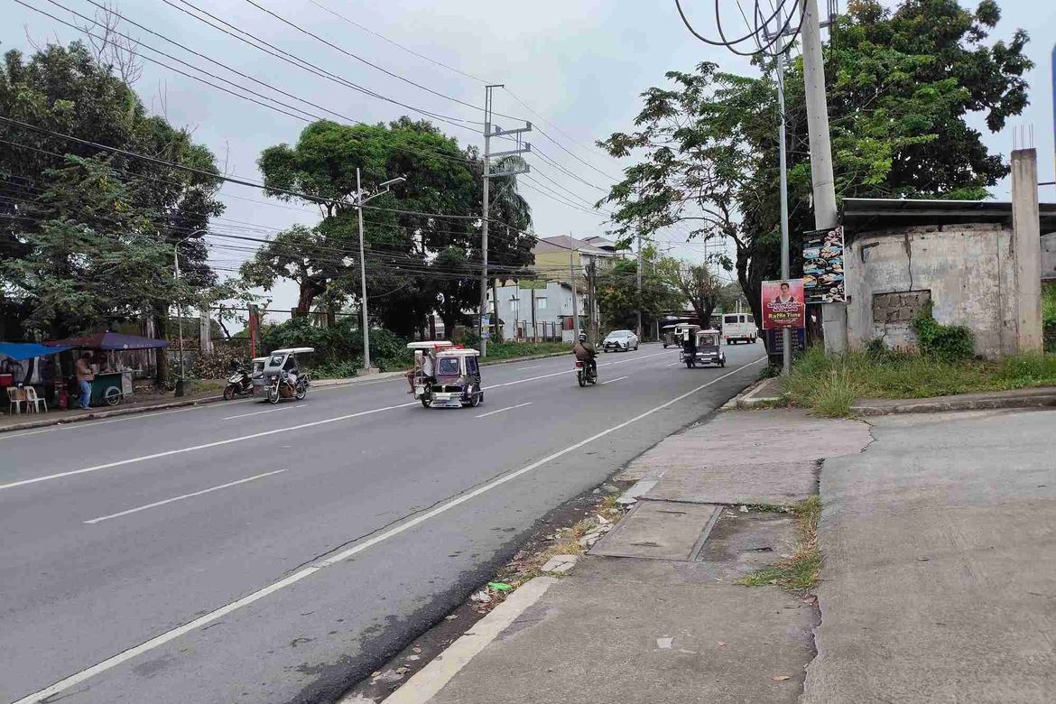 Land for Sale in San Francisco, San Pablo, Laguna – photo 2
