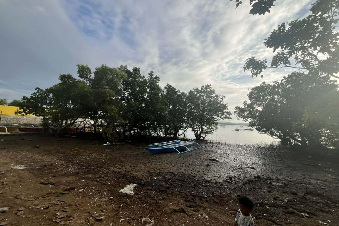 Land for Sale in San Francisco, Talibon, Bohol – photo 2