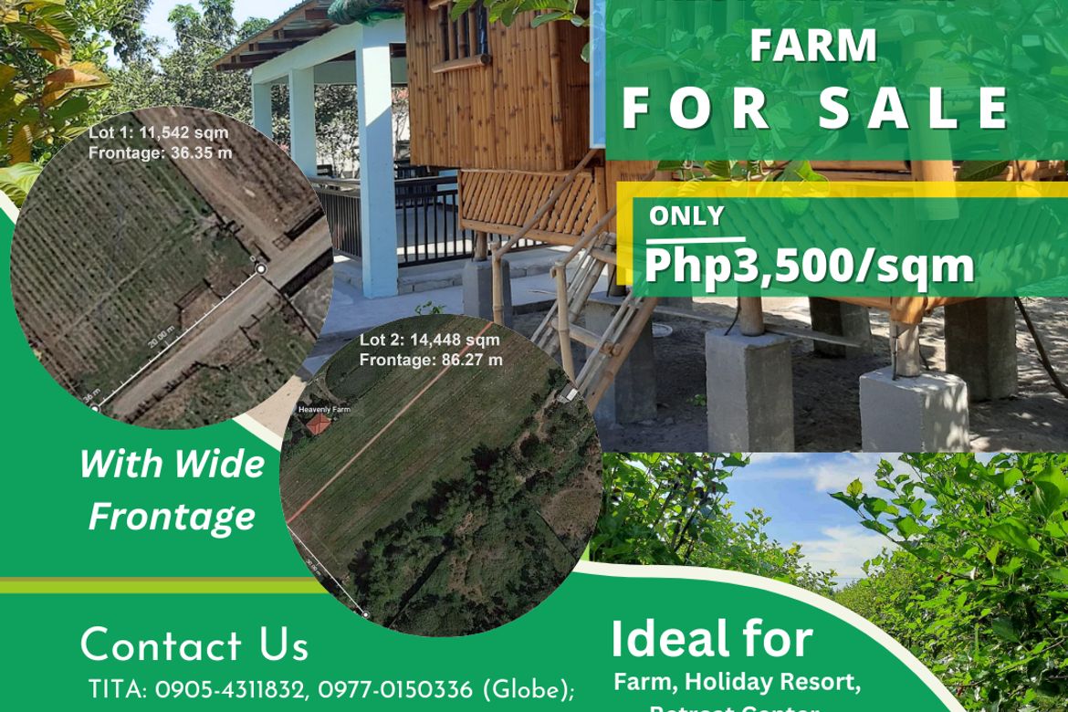 Land for Sale in San Franciso, Magalang, Pampanga