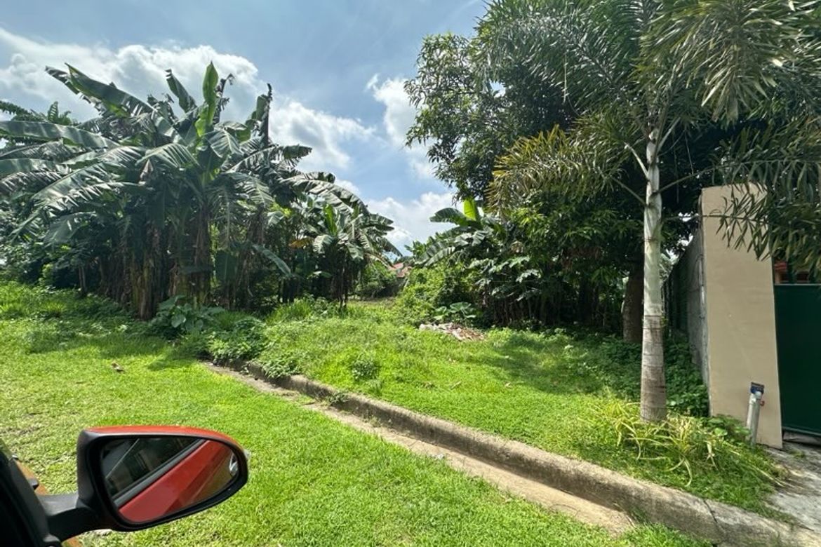 Land for Sale in San Gabriel, San Pablo, Laguna