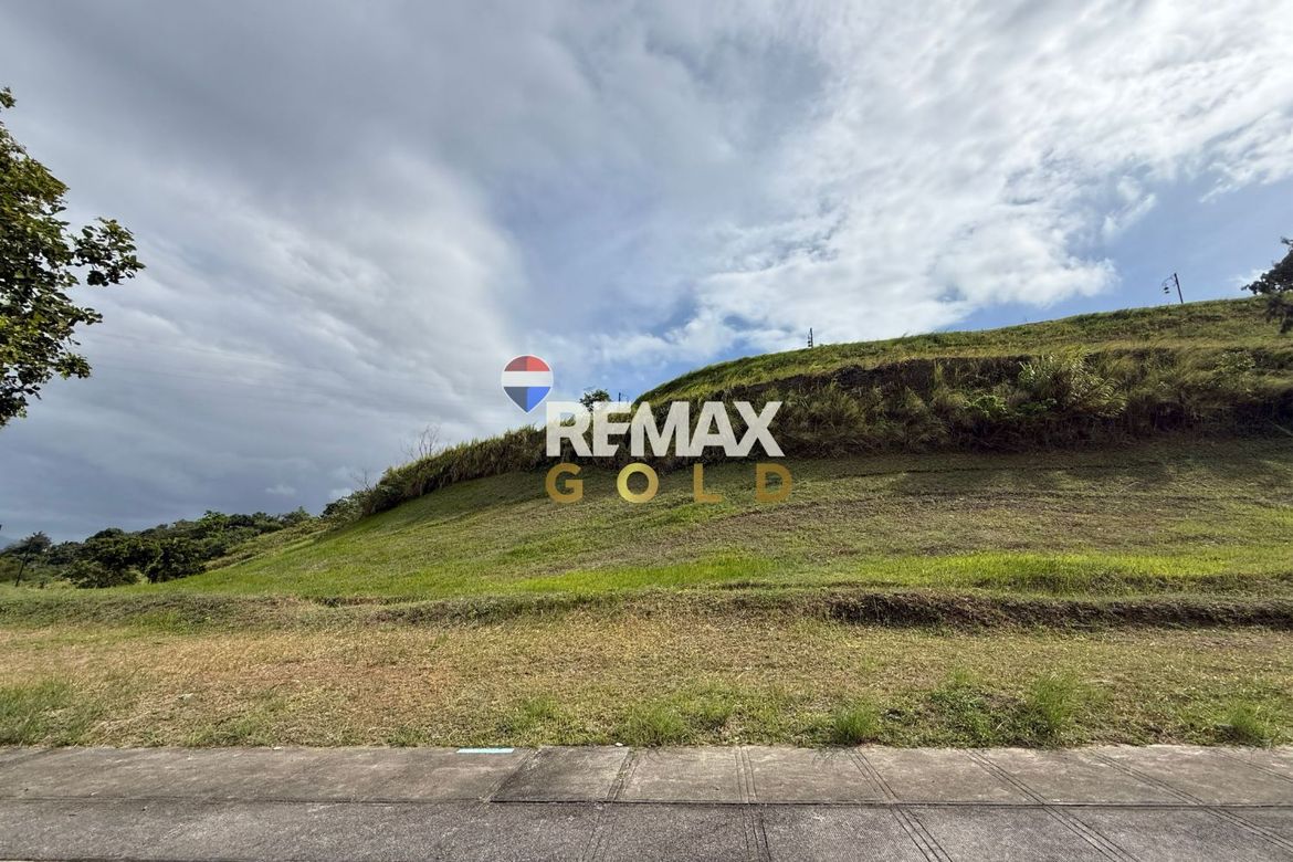 Land for Sale in San Gregorio, Laurel, Batangas – photo 4