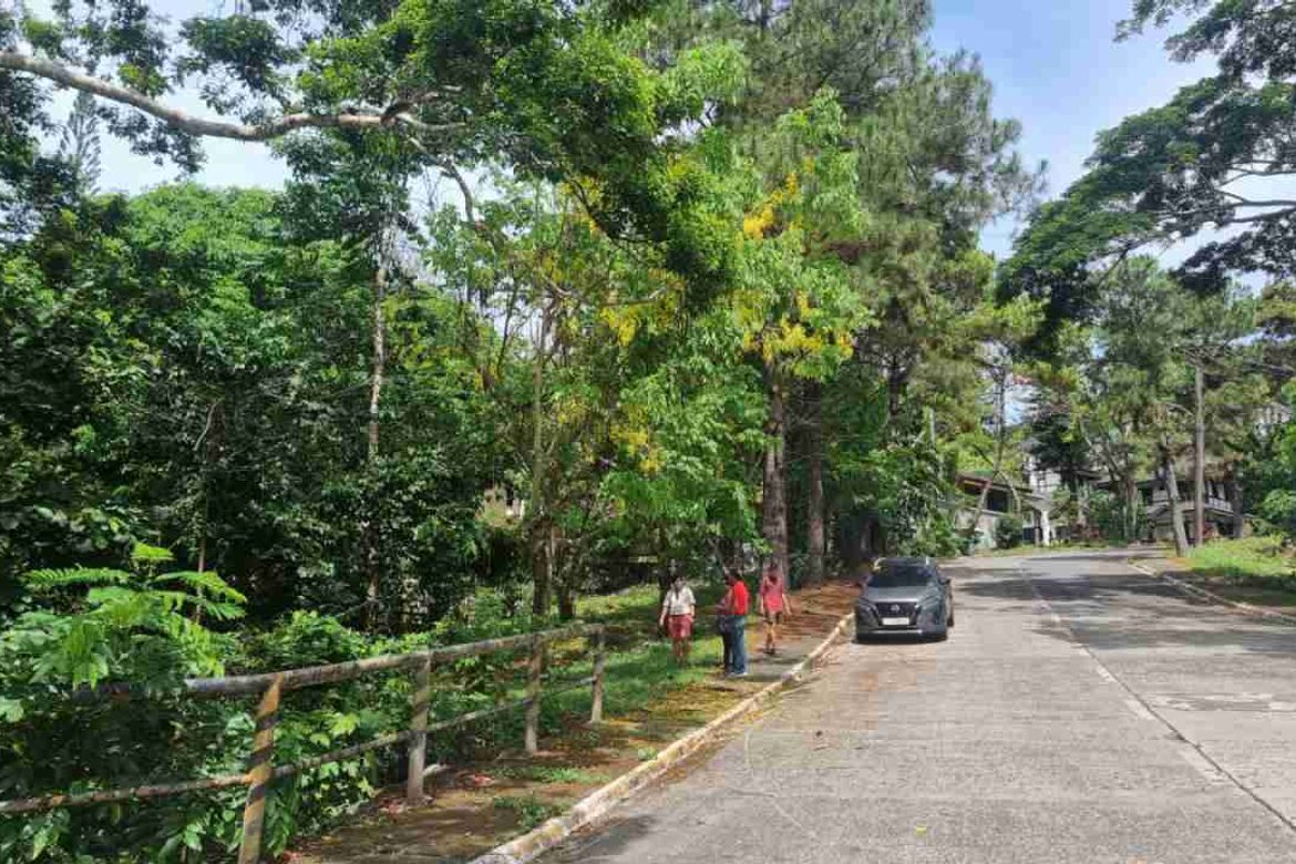 Land for Sale in San Gregorio, Laurel, Batangas