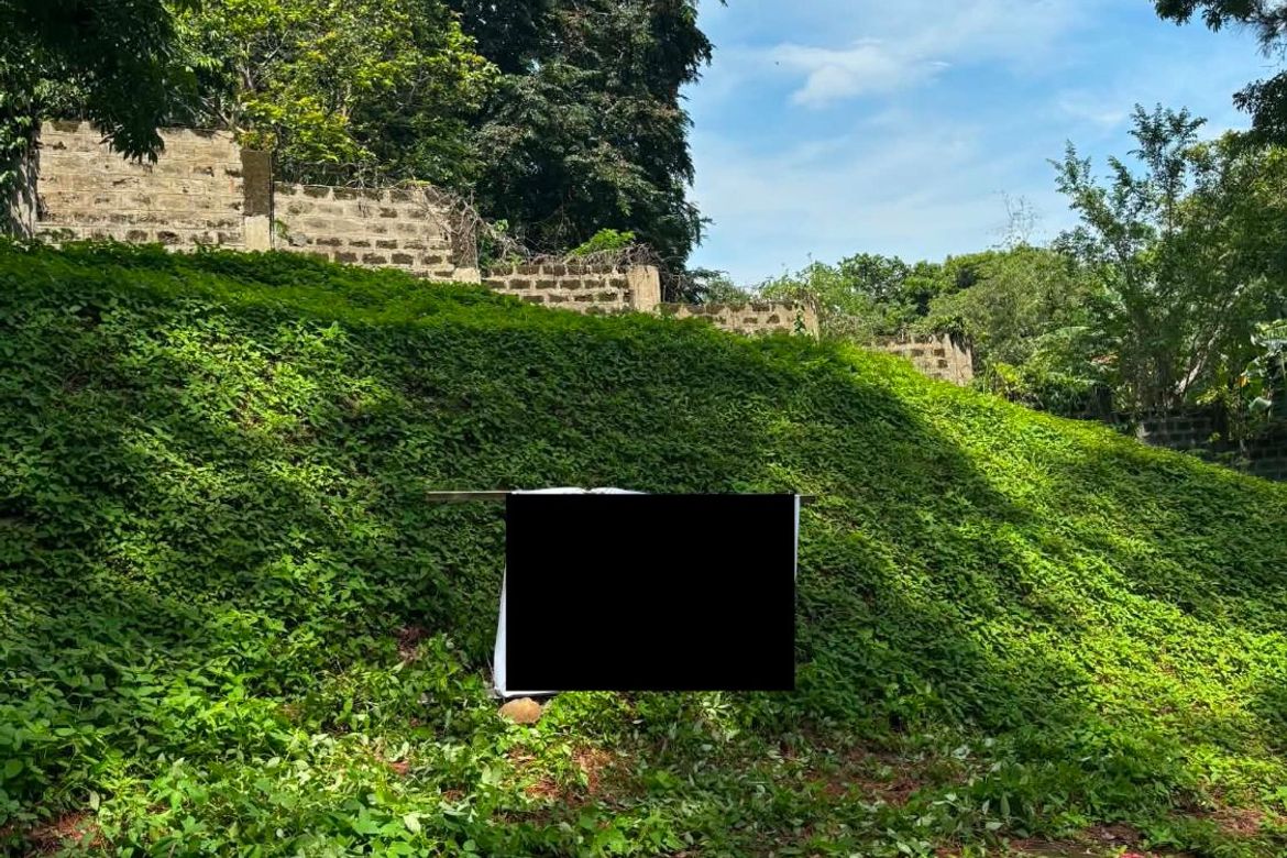 Land for Sale in San Gregorio, Laurel, Batangas – photo 2