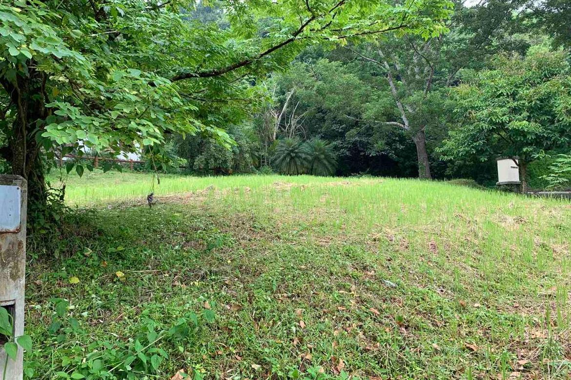 Land for Sale in San Gregorio, Laurel, Batangas – photo 3
