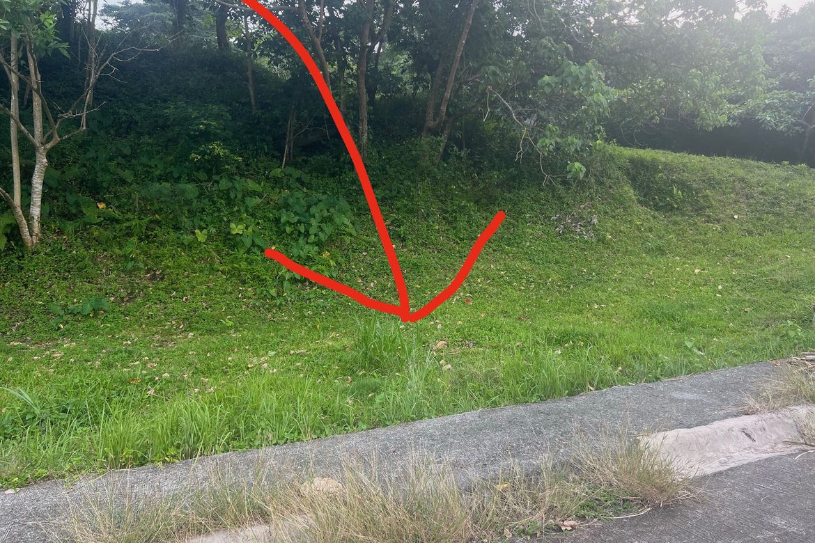 Land for Sale in San Gregorio, Laurel, Batangas