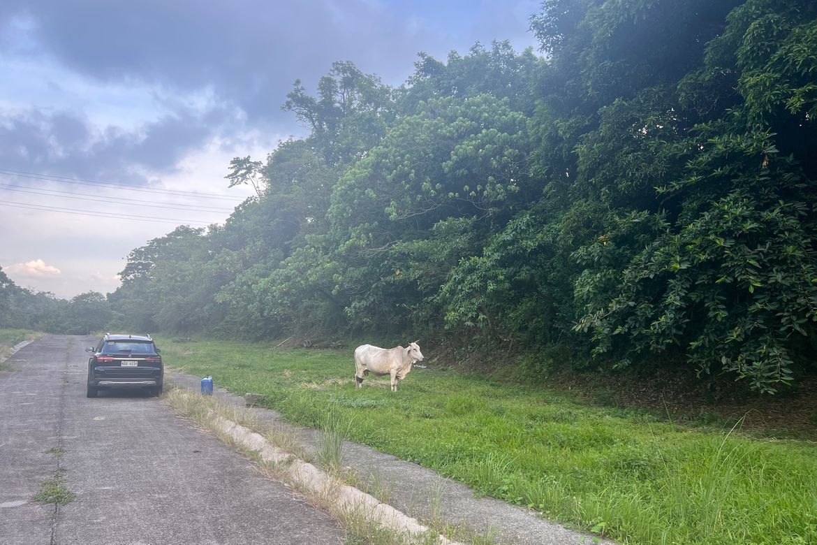 Land for Sale in San Gregorio, Laurel, Batangas – photo 2