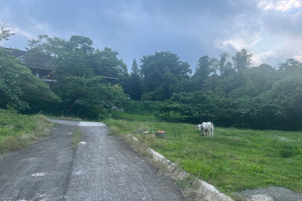 Land for Sale in San Gregorio, Laurel, Batangas – photo 5