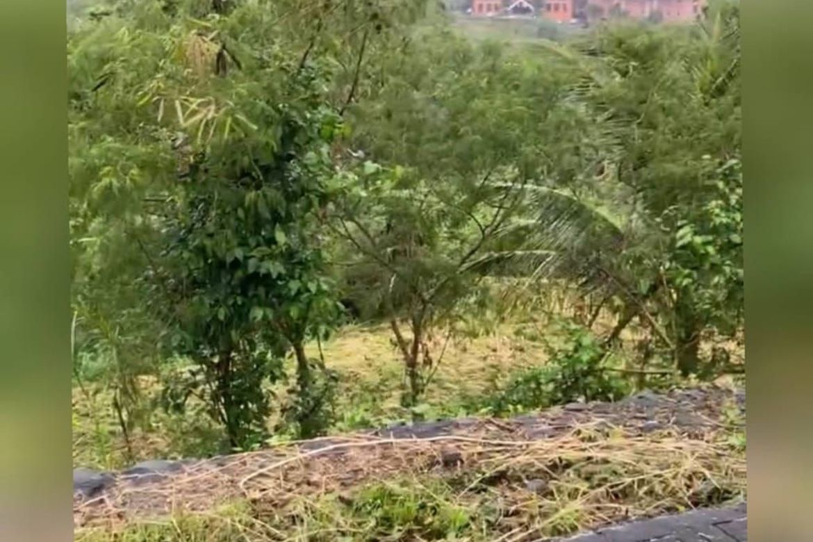 Land for Sale in San Gregorio, Laurel, Batangas – photo 2