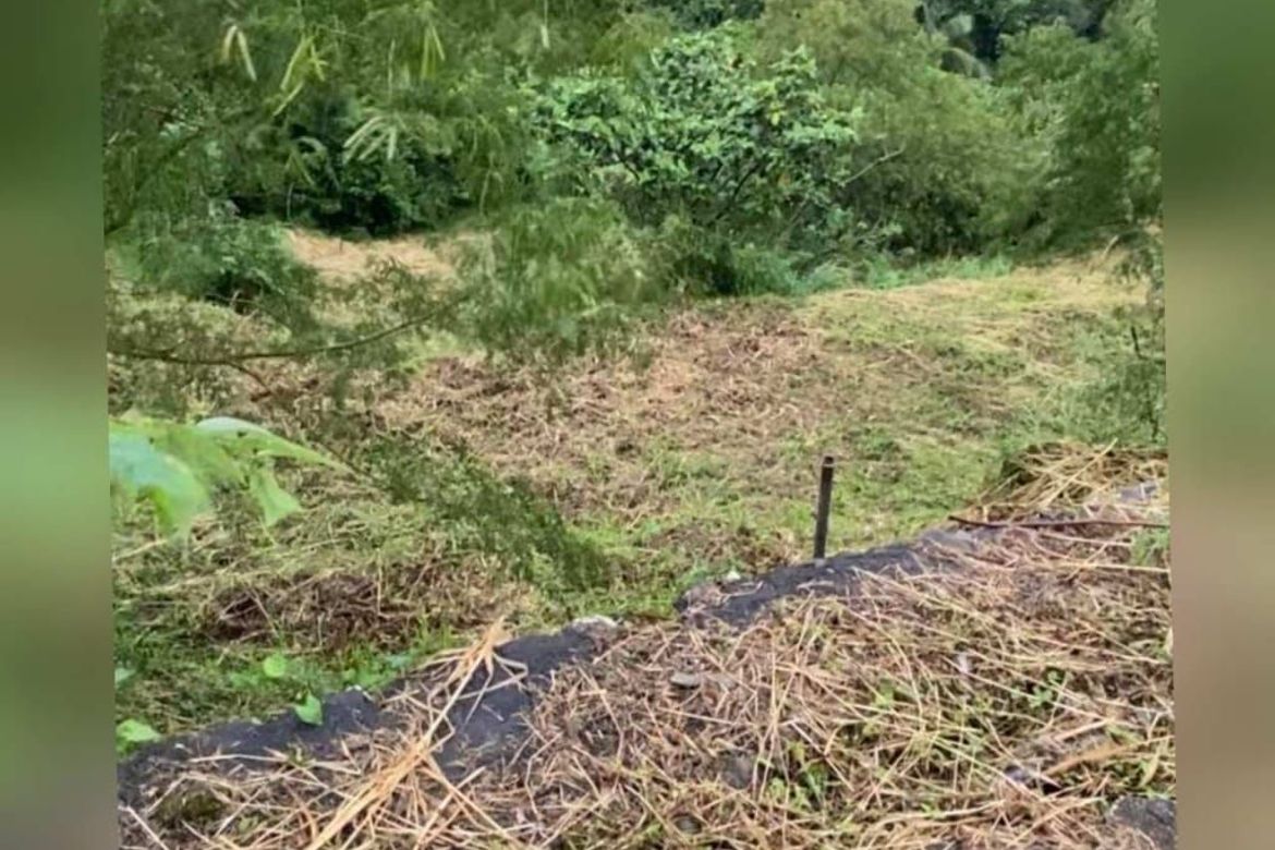 Land for Sale in San Gregorio, Laurel, Batangas – photo 5