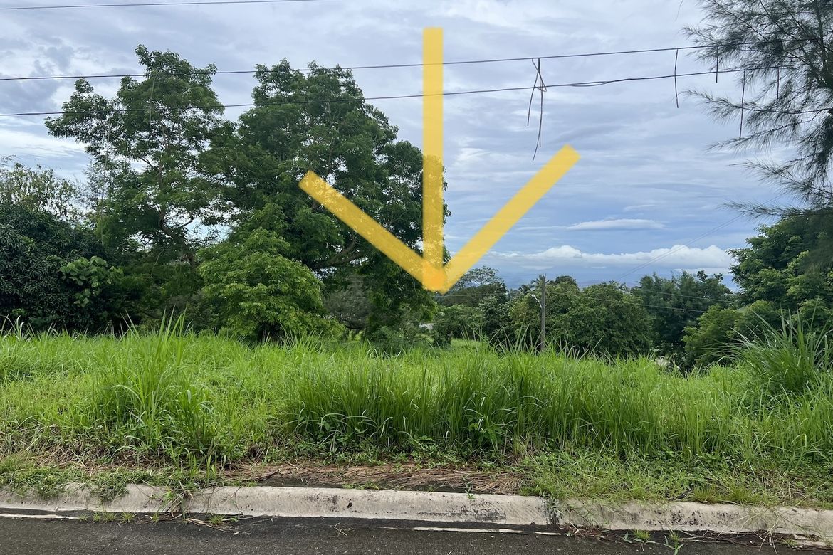 Land for Sale in San Gregorio, Laurel, Batangas