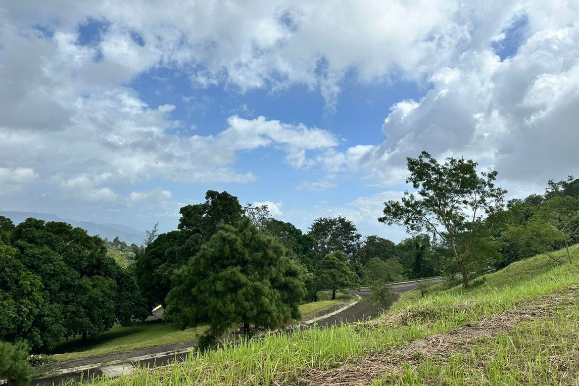 Land for Sale in San Gregorio, Laurel, Batangas – photo 7