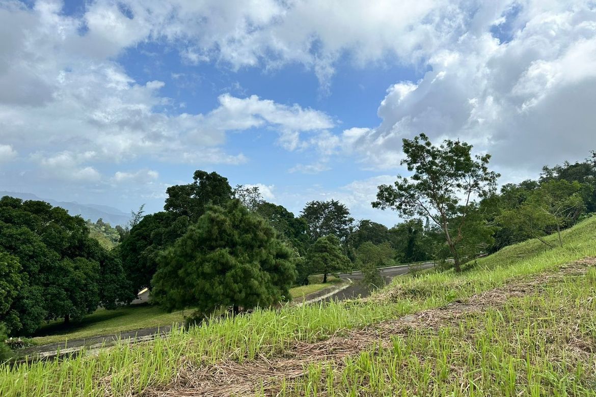 Land for Sale in San Gregorio, Laurel, Batangas – photo 8