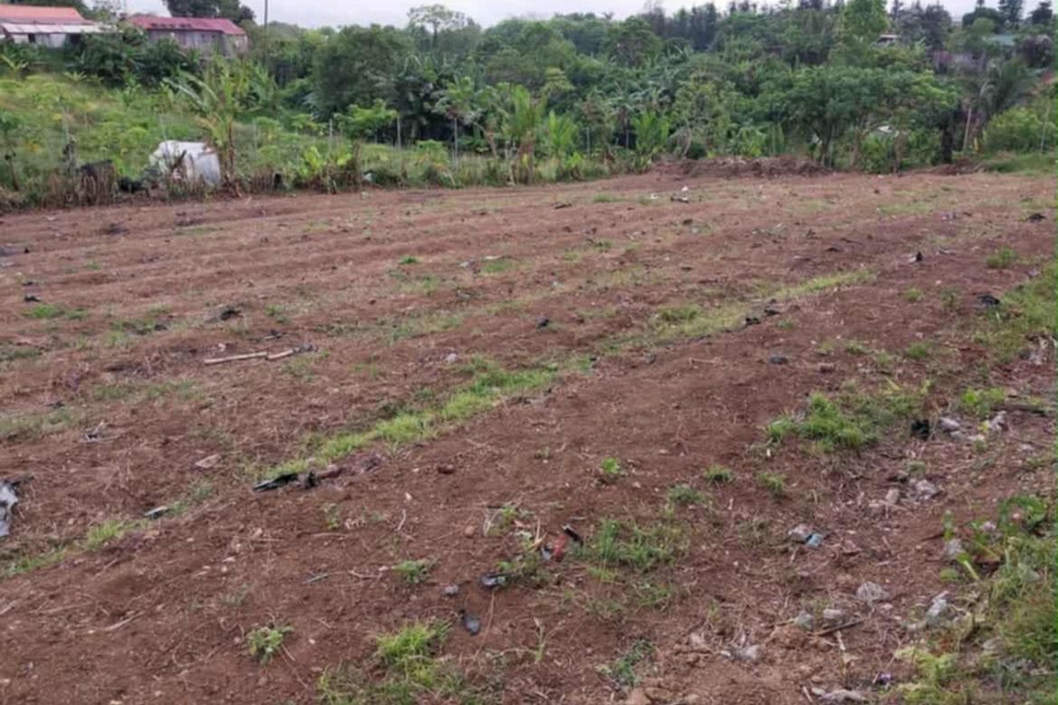 Land for Sale in San Guillermo, Talisay, Batangas – photo 2