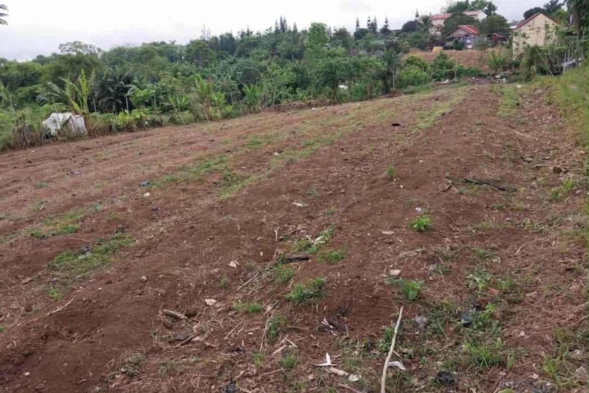 Land for Sale in San Guillermo, Talisay, Batangas – photo 4