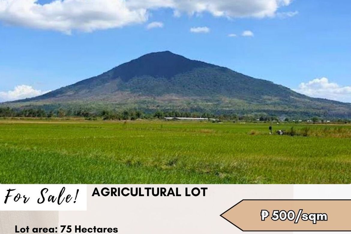 Land for Sale in San Ildefonso, Magalang, Pampanga