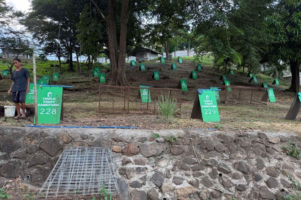 Land for Sale in San Ildefonso, Magalang, Pampanga – photo 6