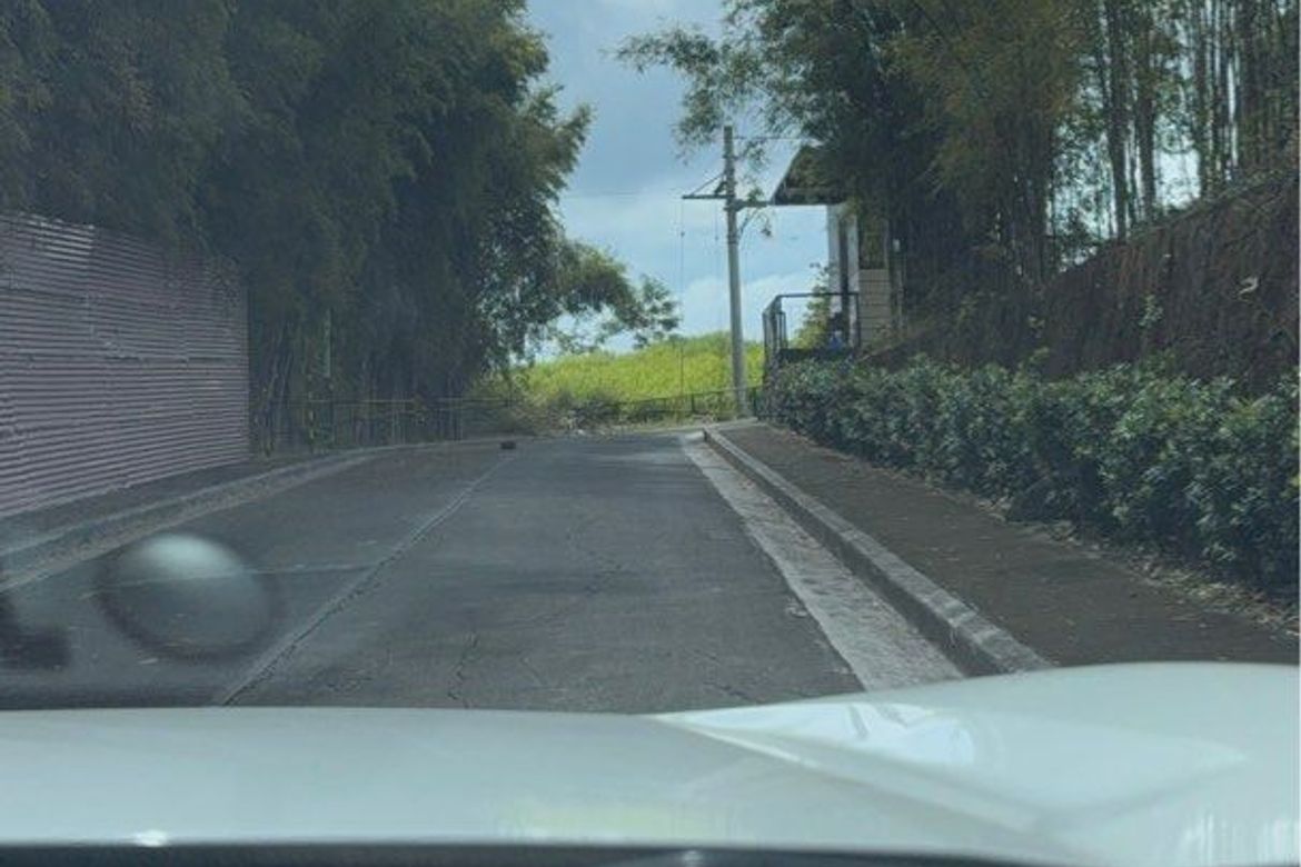 Land for Sale in San Isidro, Angono, Rizal – photo 3