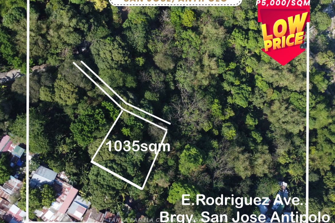 Land for Sale in San Isidro, Antipolo, Rizal – photo 2