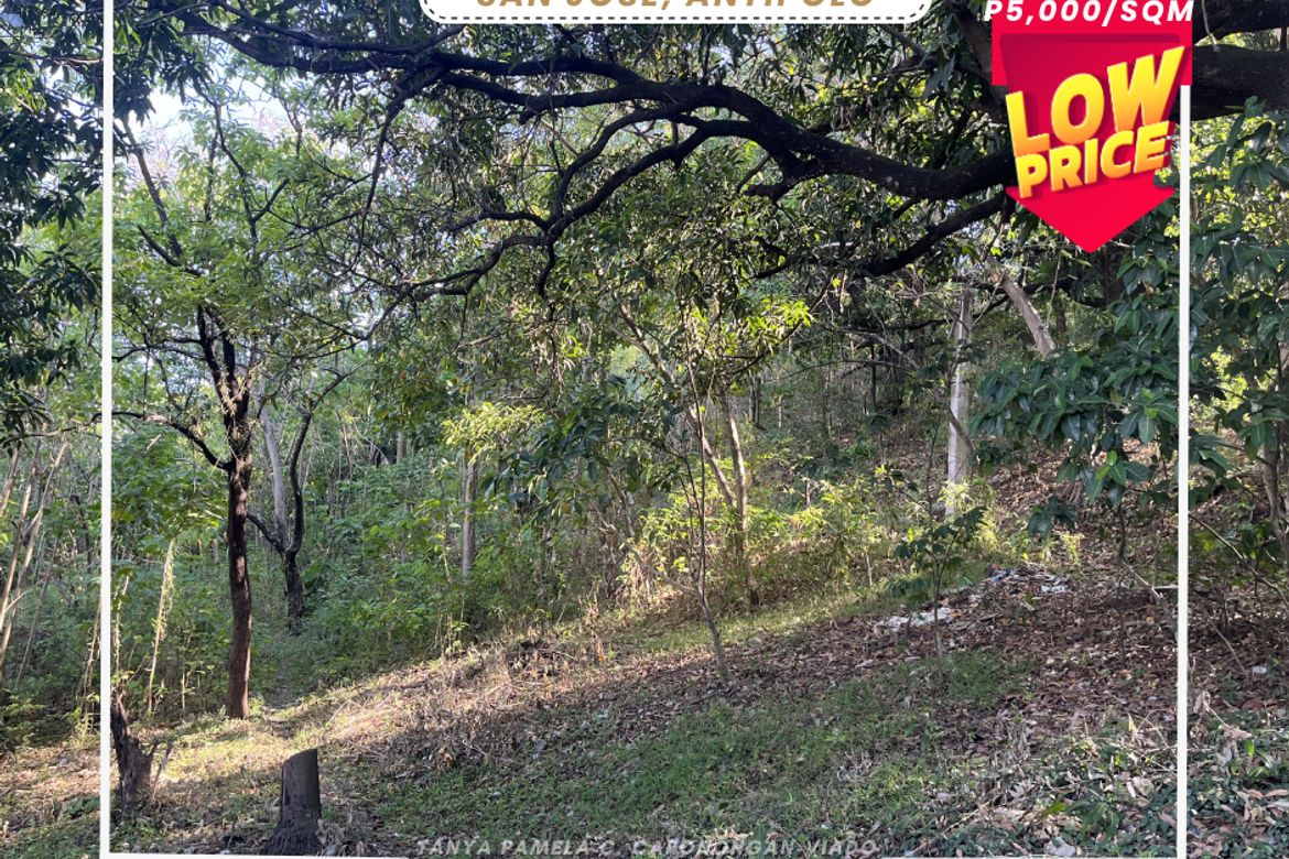 Land for Sale in San Isidro, Antipolo, Rizal – photo 3