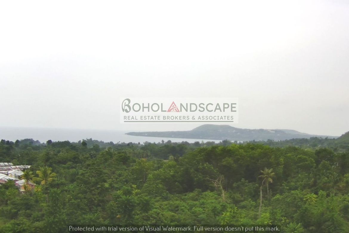 Land for Sale in San Isidro, Baclayon, Bohol