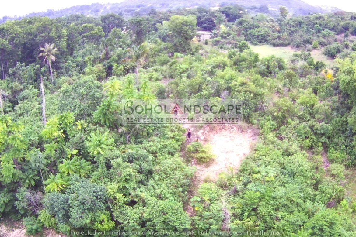 Land for Sale in San Isidro, Baclayon, Bohol – photo 3
