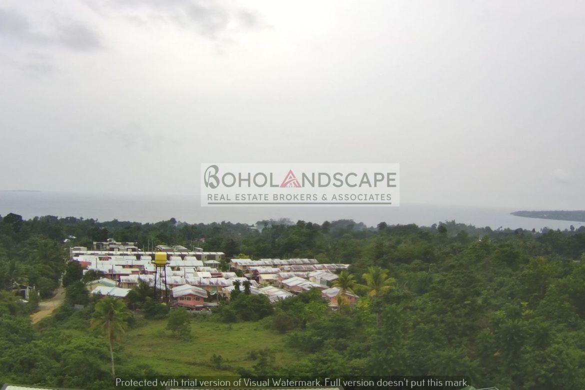 Land for Sale in San Isidro, Baclayon, Bohol – photo 5