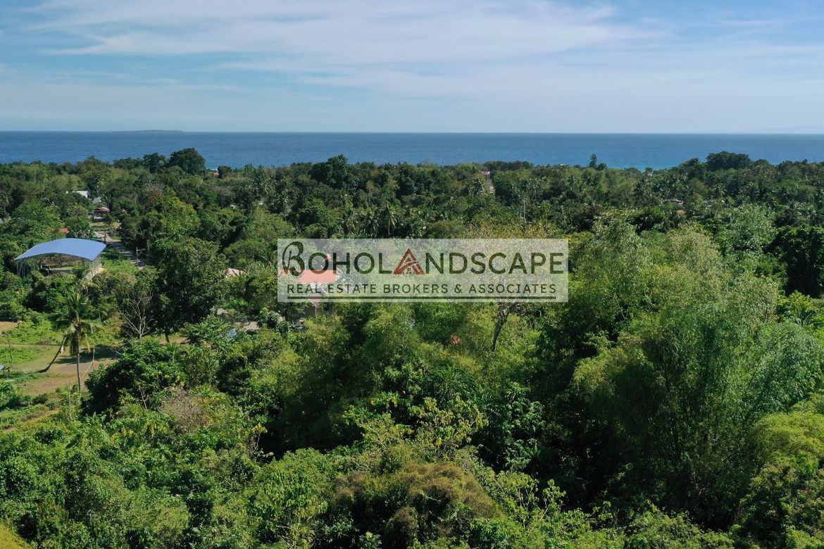 Land for Sale in San Isidro, Baclayon, Bohol – photo 3