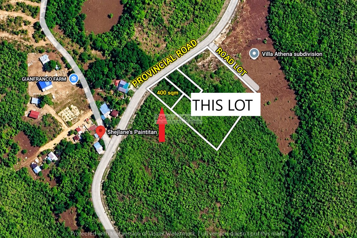 Land for Sale in San Isidro, Baclayon, Bohol – photo 4
