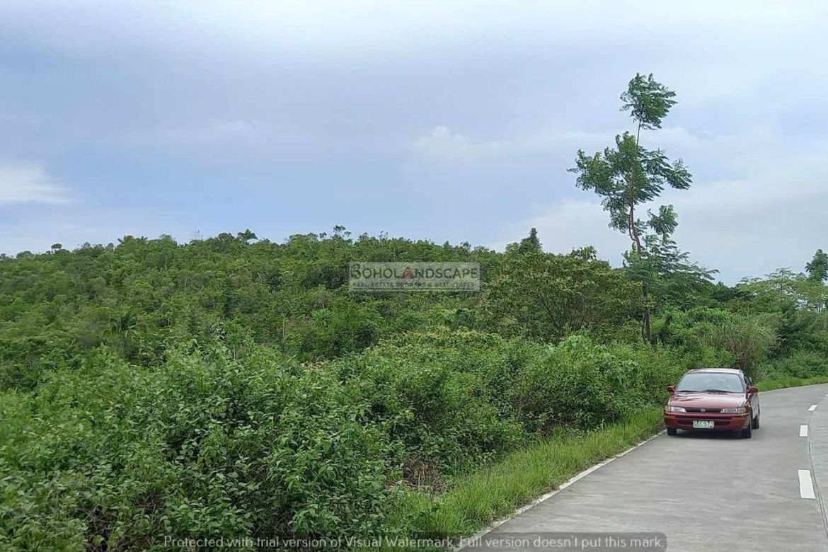Land for Sale in San Isidro, Baclayon, Bohol – photo 7