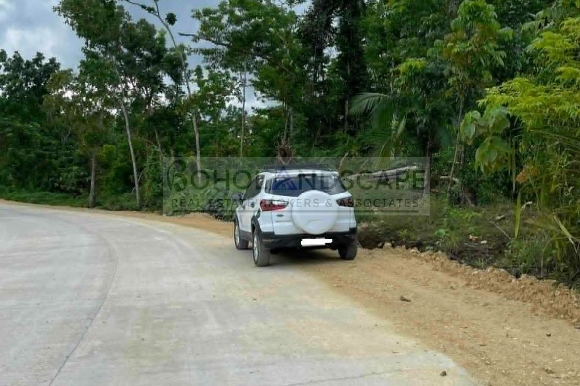 Land for Sale in San Isidro, Balilihan, Bohol