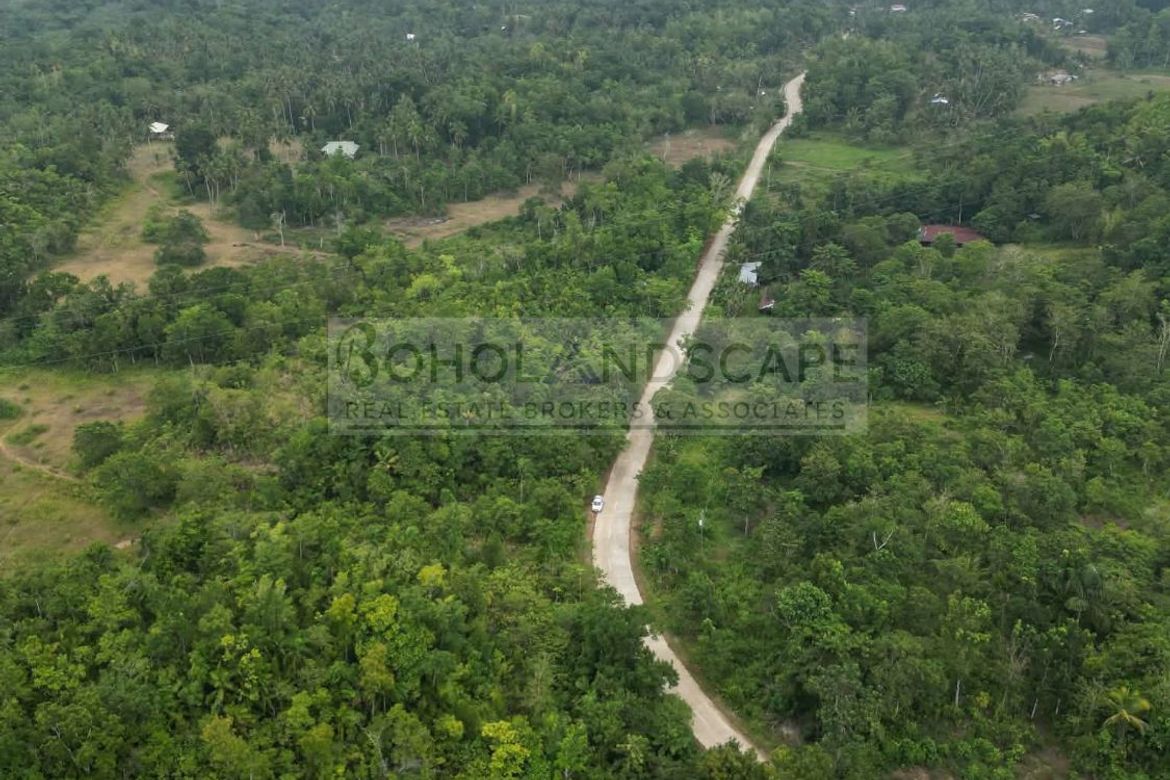Land for Sale in San Isidro, Balilihan, Bohol – photo 3