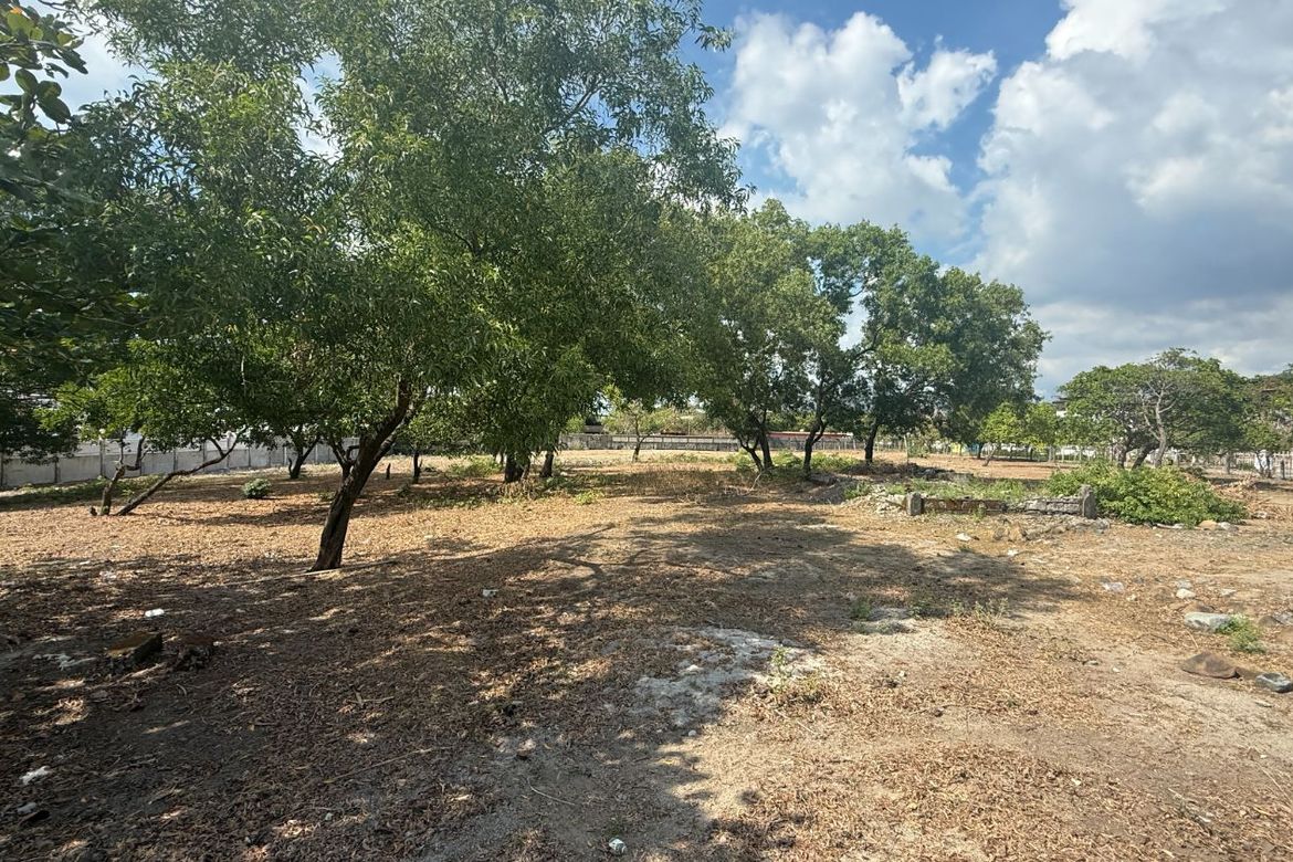 Land for Sale in San Isidro, Cabangan, Zambales – photo 7