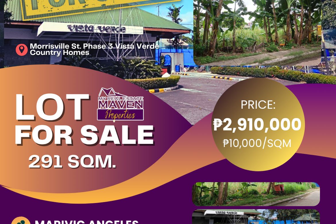 Land for Sale in San Isidro, Cainta, Rizal