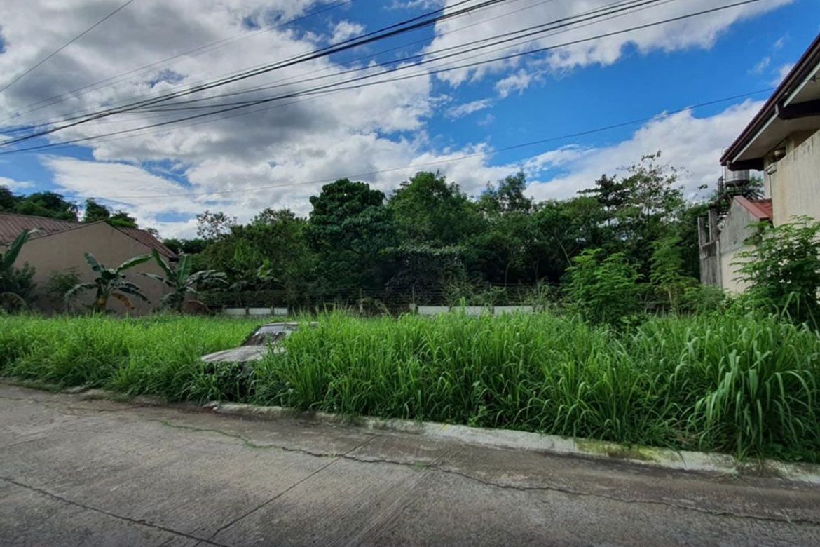 Land for Sale in San Isidro, Cainta, Rizal – photo 2