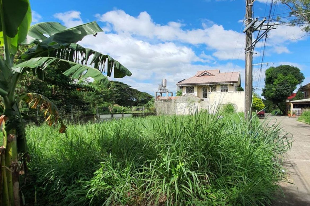 Land for Sale in San Isidro, Cainta, Rizal – photo 3