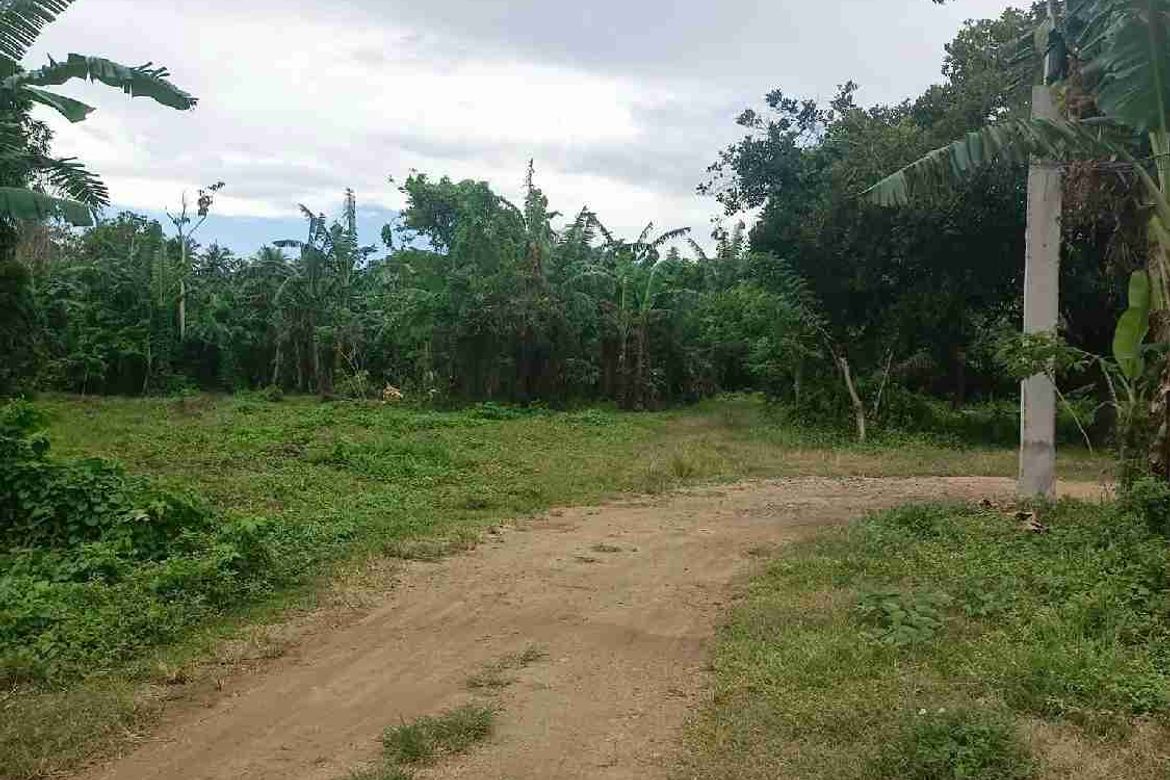 Land for Sale in San Isidro, Candelaria, Quezon – photo 7