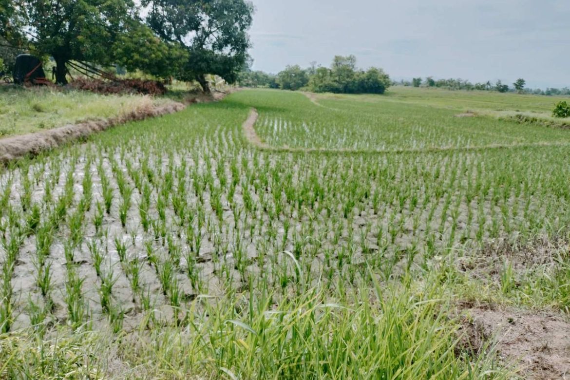 Land for Sale in San Isidro, Cauayan, Isabela – photo 3