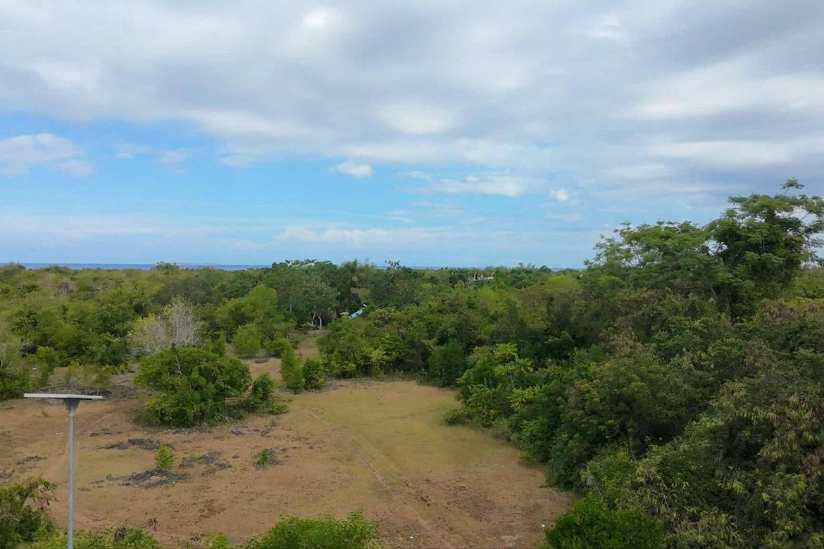 Land for Sale in San Isidro, Dauis, Bohol